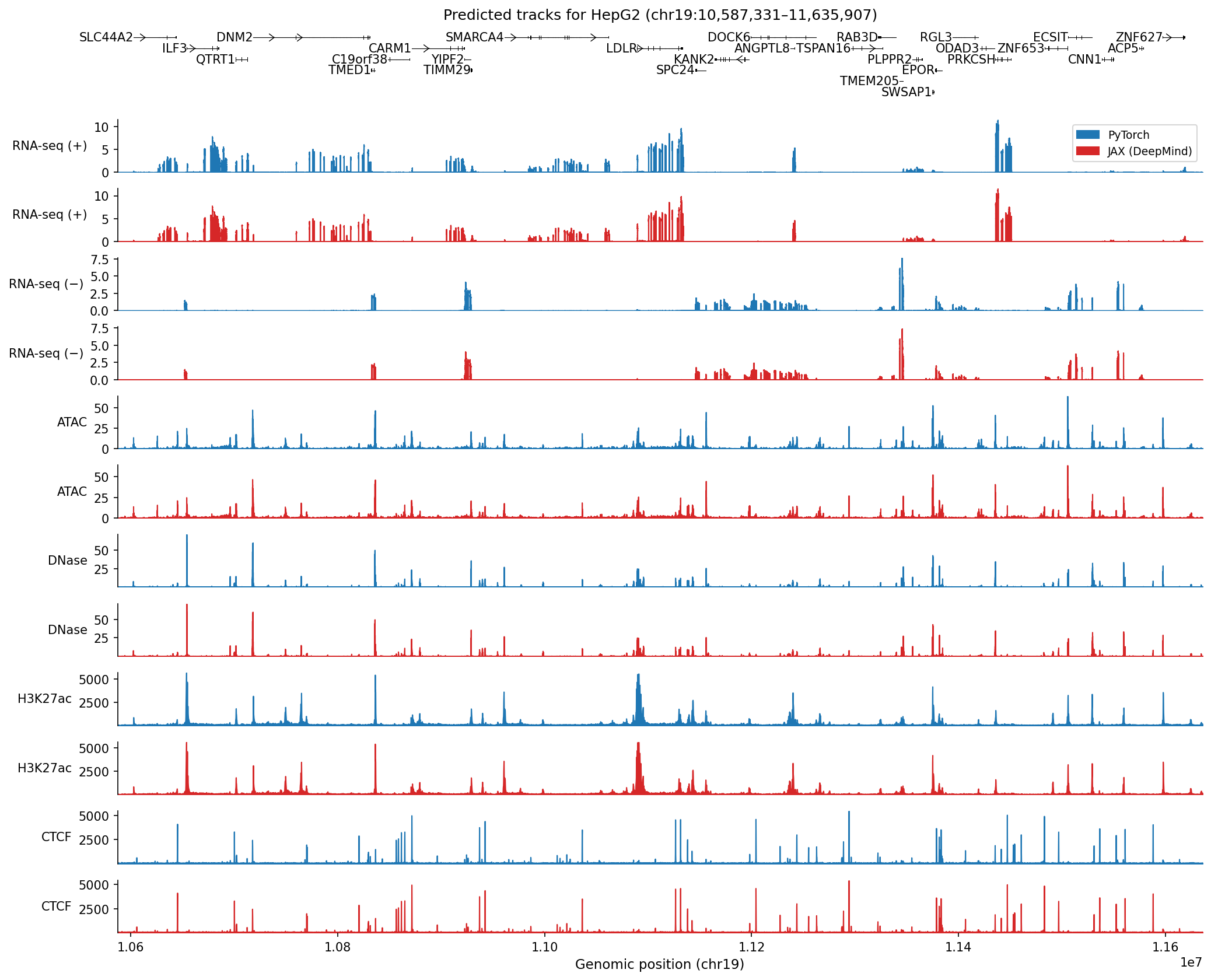 Predicted tracks for HepG2 in chr19 (Figure 2a)