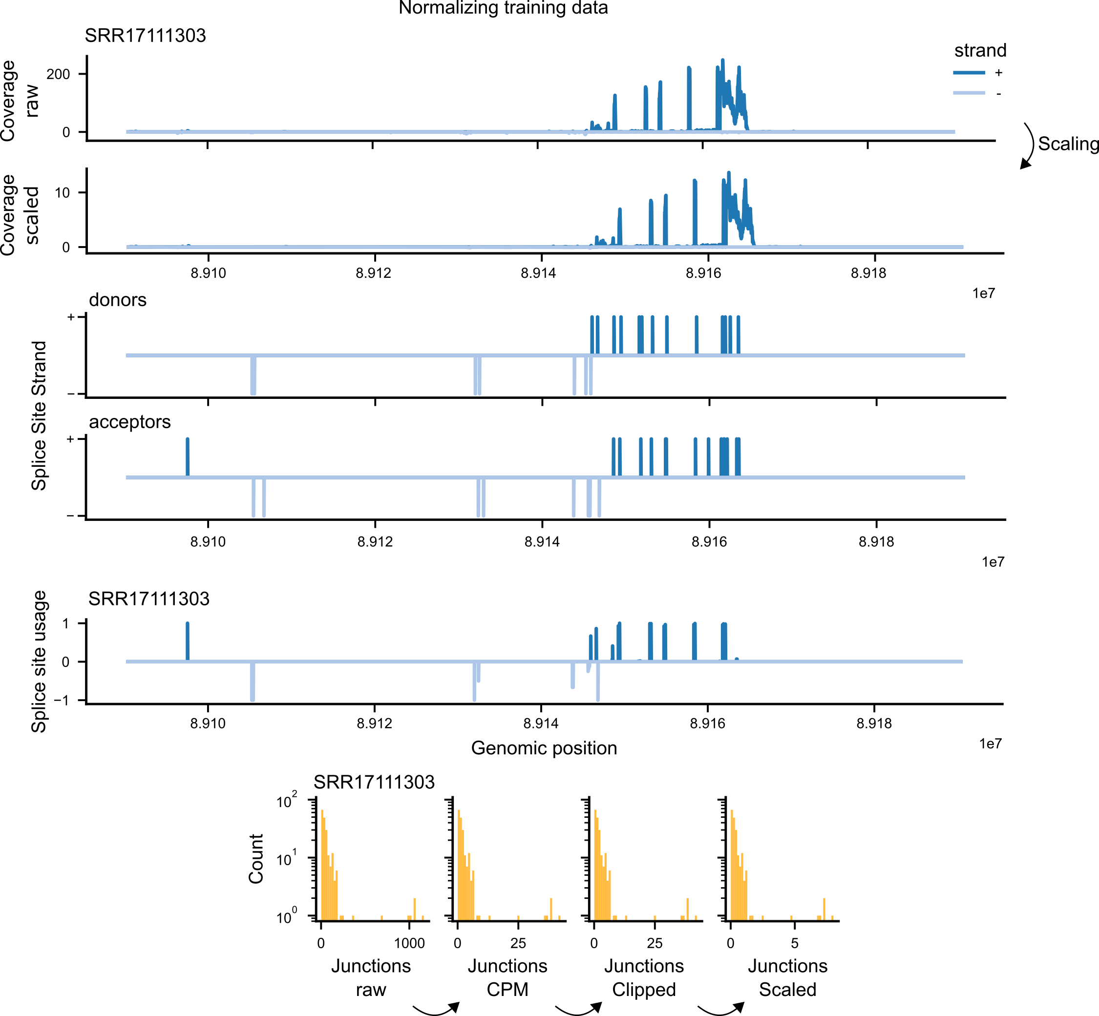 Normalizing training data on the fly. Figure 4. Normalizing training data on the fly.