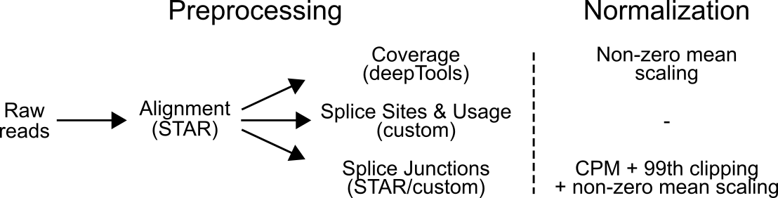 Data preprocessing workflow. Figure 2. Data preprocessing workflow.