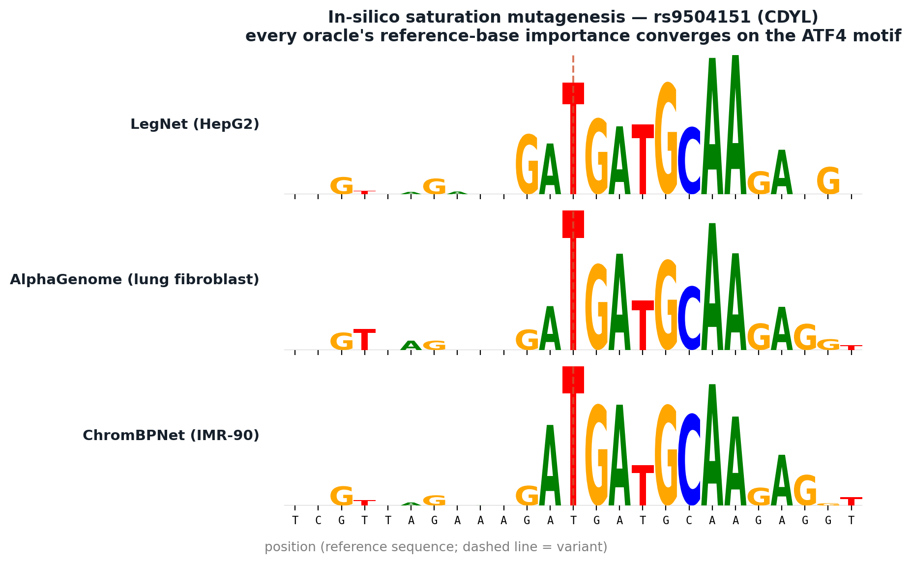 Figure 6. In-silico saturation mutagenesis (score_ism) around rs9504151 in three independent oracles β LegNet (HepG2), AlphaGenome (lung fibroblast), and ChromBPNet (IMR-90). Each letter's height is how much mutating that reference base changes the prediction; all three converge on the same ATF4 motif (TGATGCAA) centred on the variant (dashed line). In-silico saturation mutagenesis around rs9504151 in three oracles.