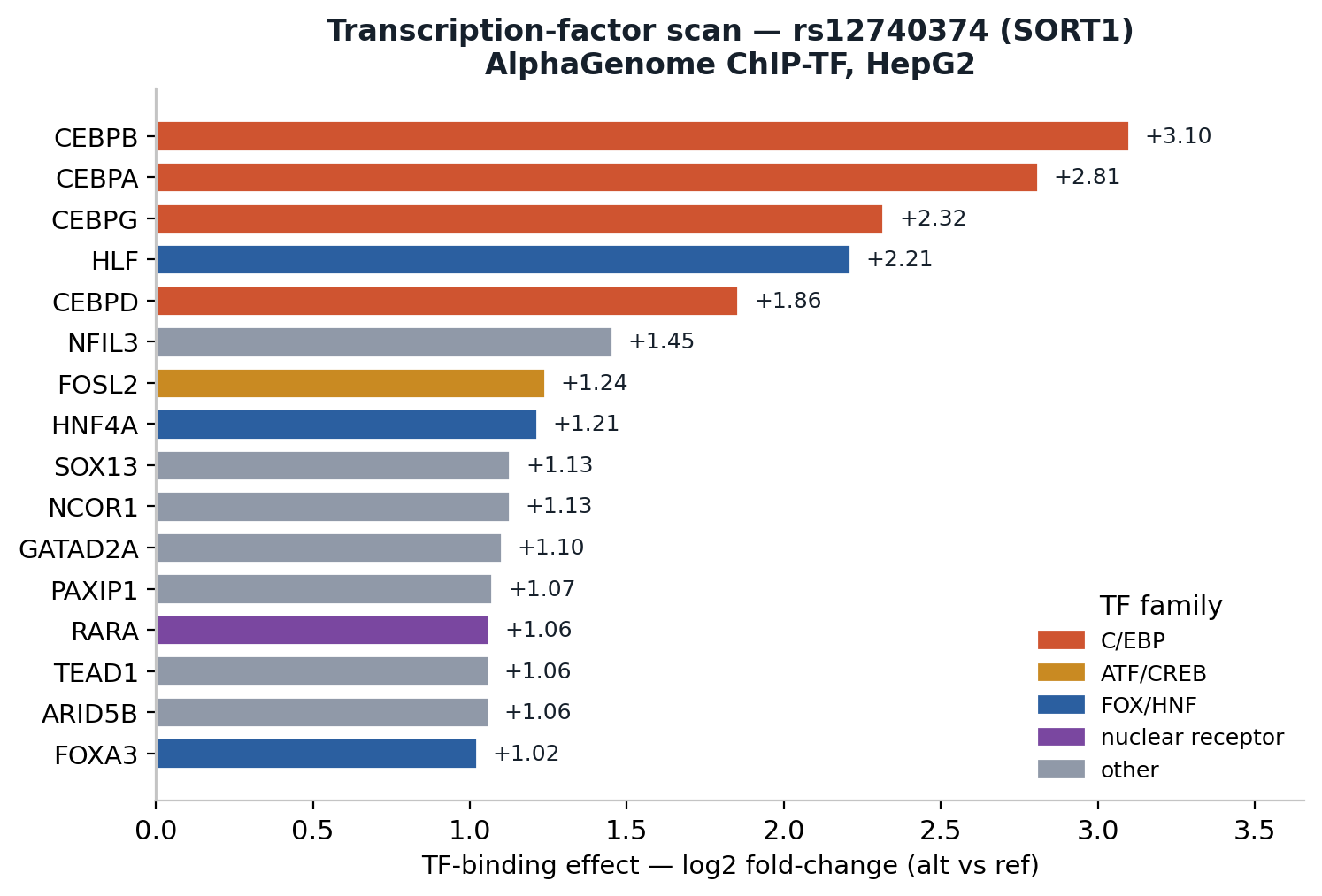 Figure 2. AlphaGenome's HepG2 TF-ChIP scan for rs12740374, given no prior about which factor to look for. The C/EBP family tops the ranking (CEBPB +3.1, CEBPA +2.8, CEBPG +2.3, CEBPD +1.9) β the binding site the minor allele creates. AlphaGenome TF-ChIP scan for rs12740374 in HepG2, with no prior.
