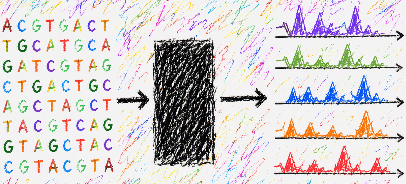 Stylized hand-drawn illustration of a colorful DNA sequence feeding into a model, depicted as a black box, that outputs several genomic signal tracks.