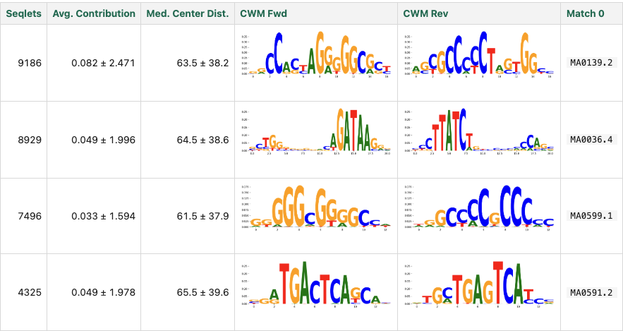First rows of a TF-MoDISco report table, listing for each discovered motif the seqlet count, average contribution, median distance from center, forward and reverse contribution-weight-matrix sequence logos, and the best-matching JASPAR motif.
