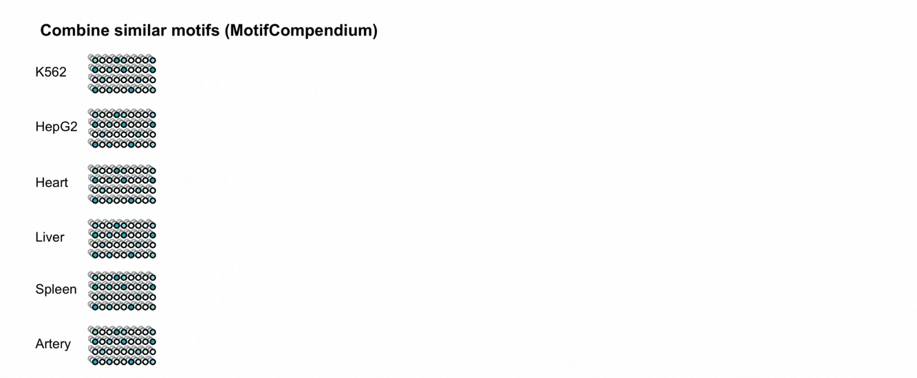Unify motifs across models: MotifCompendium compares and clusters related motifs discovered by models trained across different assays and cell contexts into a unified motif lexicon Figure: Combine motifs across models