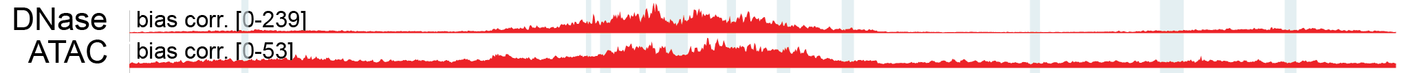 Bias-corrected ChromBPNet accessibility profiles at the *MYC* enhancer: ChromBPNet separates assay-specific enzyme bias from the predicted regulatory signal in DNase-seq and ATAC-seq. Although the raw profiles differ substantially, the independently derived bias-corrected predictions converge on a similar accessibility profile across the enhancer. Track labels indicate the displayed signal ranges. Figure: MYC - Bias-corrected profile