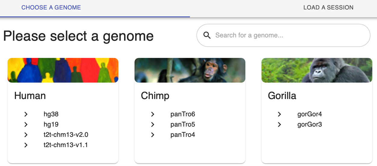 WashU Epigenome Browser home page with the human hg38 genome assembly selected. Figure 3