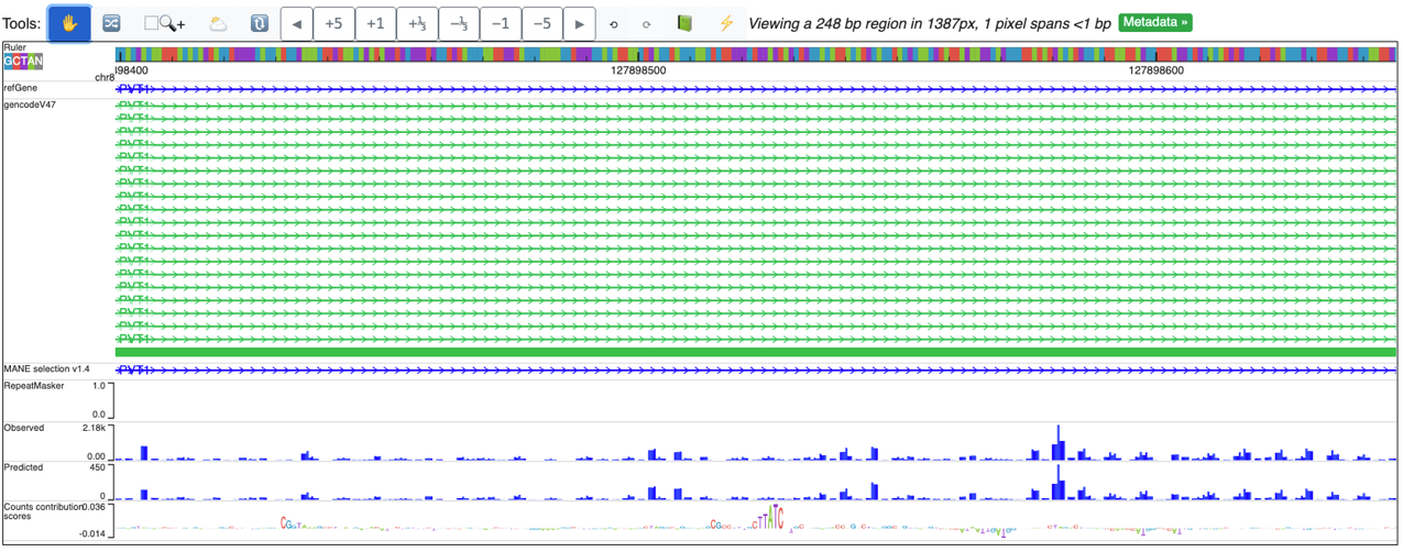 WashU Epigenome Browser session displaying observed and ChromBPNet-predicted accessibility profiles together with a base-resolution sequence-contribution map. Figure 9