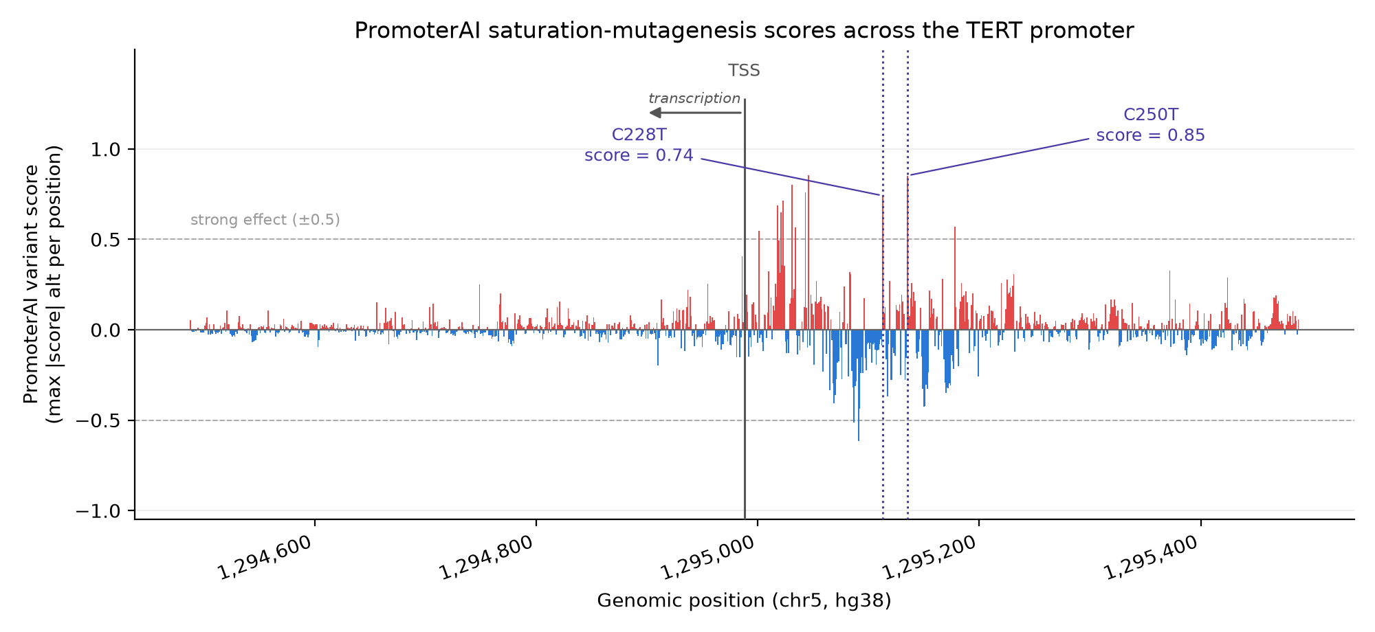 Bar chart of PromoterAI’s saturation-mutagenesis scores across a 1 kb window of the TERT promoter (chr5, hg38), colored red for positive (over-expression) and blue for negative (under-expression) scores, with the transcription start site (arrow marking the minus-strand direction of transcription) and the C228T and C250T mutations annotated. Both mutations sit in a cluster of strongly positive-scoring positions and score well above the +0.5 strong-effect threshold.