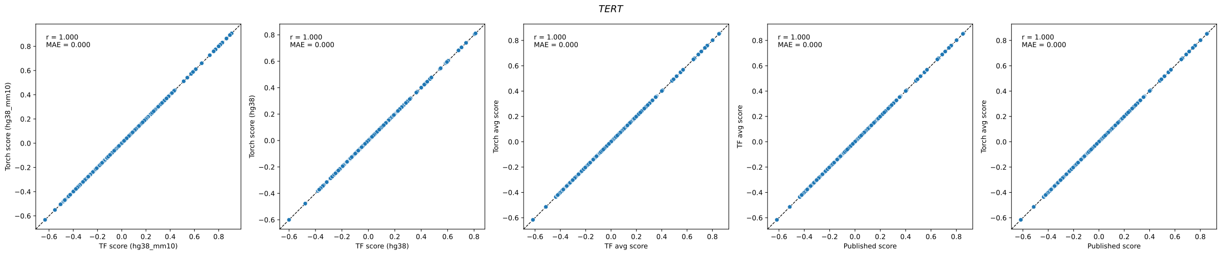 Five scatter plots comparing PromoterAI TERT variant scores across checkpoints and implementations — per-checkpoint TF versus torch scores, ensembled TF versus torch scores, and each against the officially published scores — all falling exactly on the identity line.