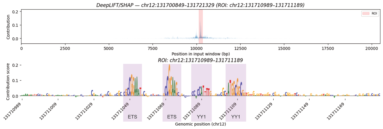 DeepLIFT/SHAP contribution track across a 20 kb window around the SFSWAP promoter, with a zoomed-in per-base sequence logo over the 200 bp region of interest showing several high-contribution motif-like clusters.